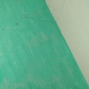 Meet your Posher, Rani